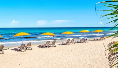 Paradise Tamarindo