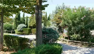 Paradiso