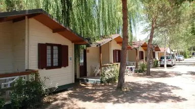 Paradiso