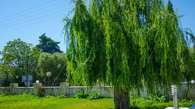 Paradisos Apartments