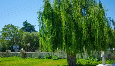 Paradisos Apartments