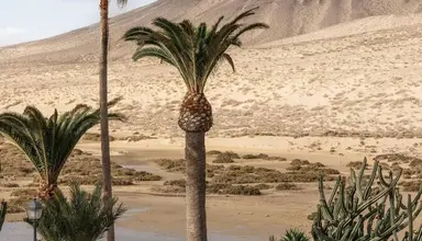 Paradisus by Melia Fuerteventura