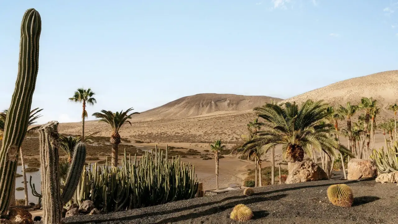 Paradisus by Melia Fuerteventura