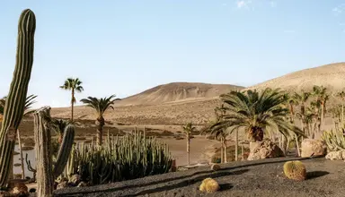 Paradisus by Melia Fuerteventura