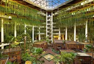Paradisus Cancun