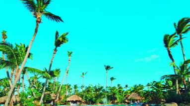 Paradisus Punta Cana