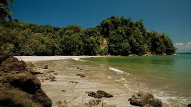 Parador (Manuel Antonio)