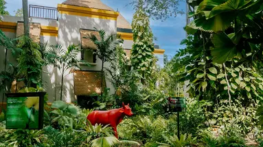 Paradox Resort Phuket