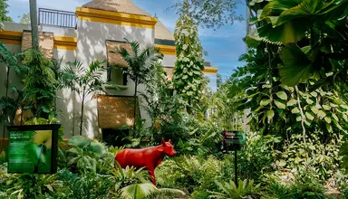Paradox Resort Phuket