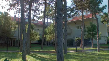 Parco Hemingway