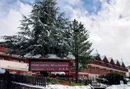 Park Bellacosta