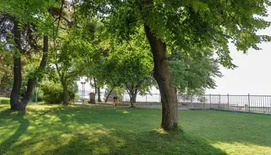 Park Oasis