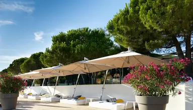 Park Plaza Belvedere
