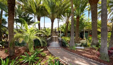 Parque Tropical