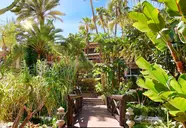 Parque Tropical