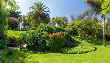 Parque Vacacional Eden