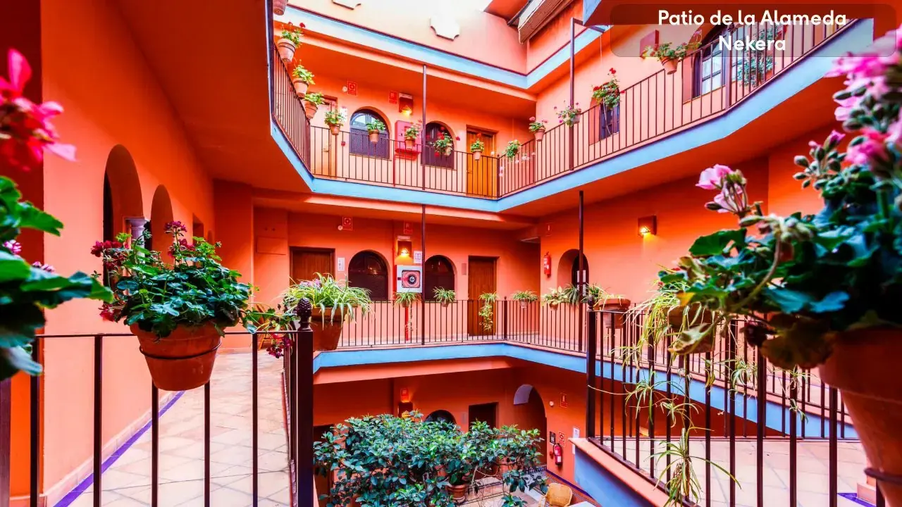 Patio De La Alameda