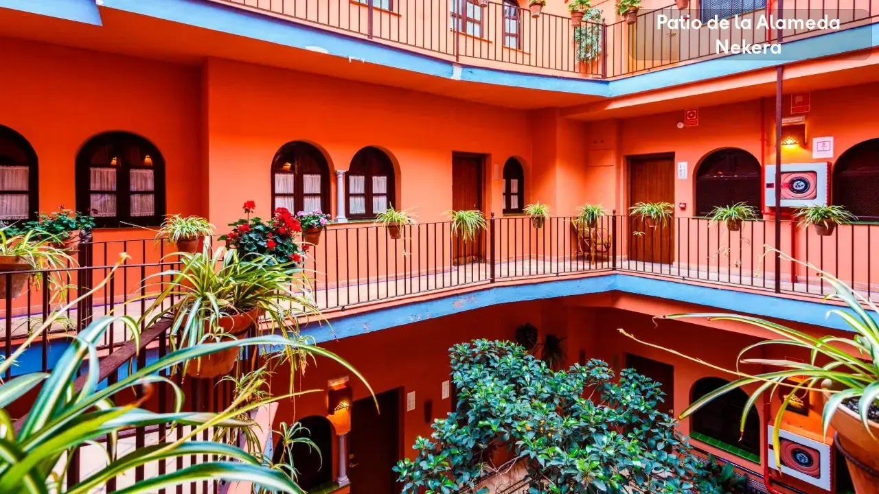 Patio De La Alameda