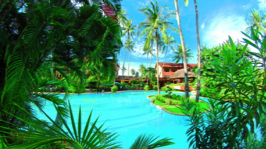 Patong Merlin