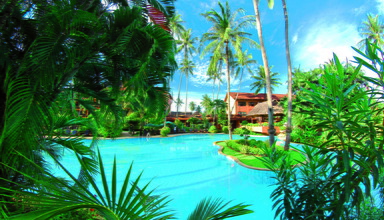 Patong Merlin