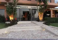 Pegasus (Roda)