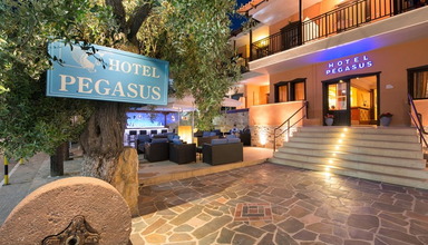 Pegasus
