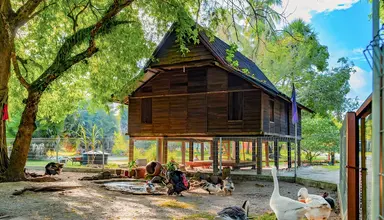 Pelangi Beach Resort & Spa