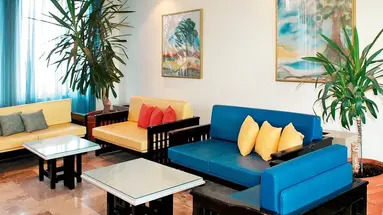 Peli