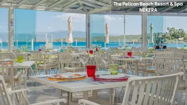 Pelican Beach Resort & Spa