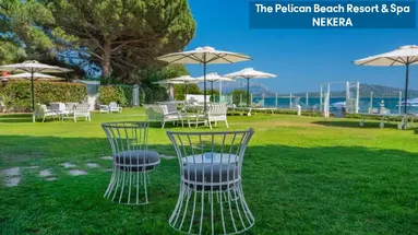 Pelican Beach Resort & Spa