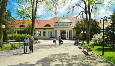 Pensjonat Willa w Parku