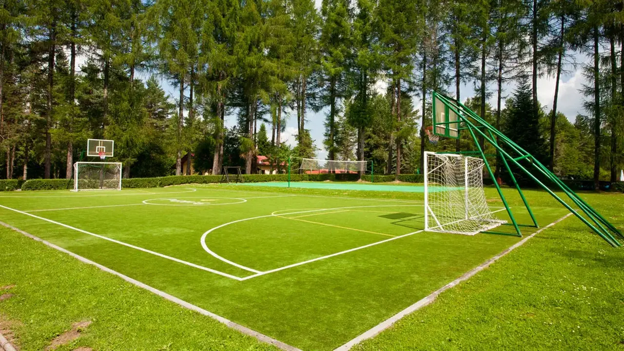 Perła Bieszczadów Geovita Czarna