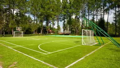 Perła Bieszczadów Geovita Czarna