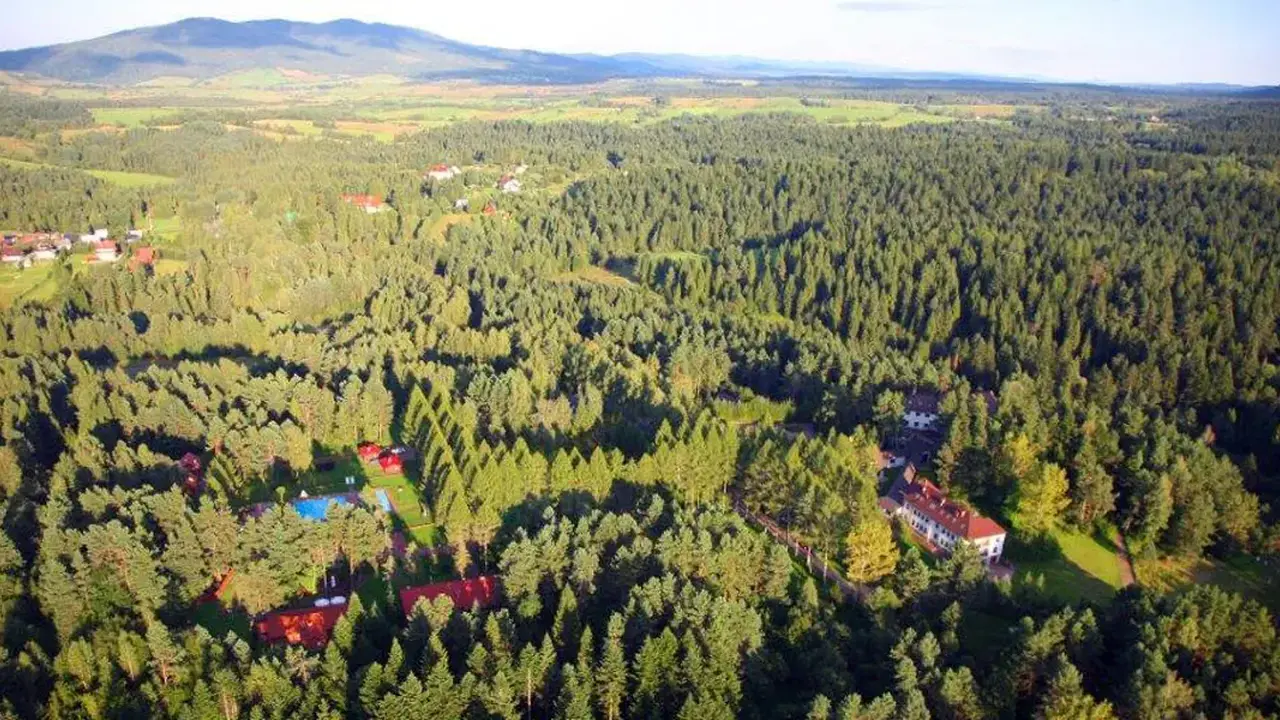 Perła Bieszczadów Geovita Czarna