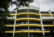 Perunika