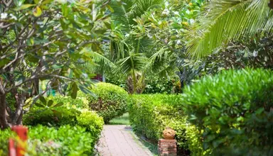 Phi Phi Erawan Palms Resort