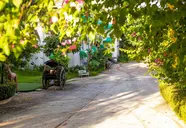 Phu Van Resort & Spa