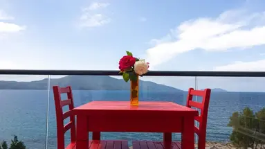 Picasso
