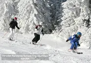 Pichlmayrgut