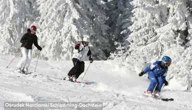 Pichlmayrgut