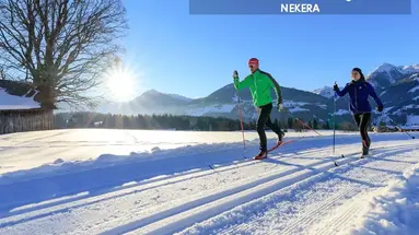 Pichlmayrgut