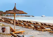 Pickalbatros Palace Resort