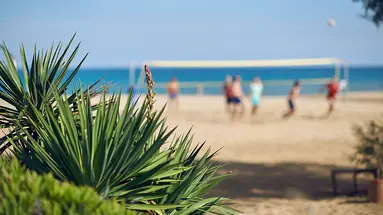 Pilot Beach Resort