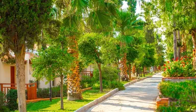 Pine Bay Holiday Resort