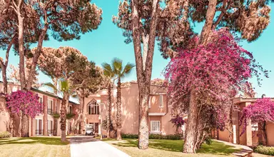 Pine Beach Belek