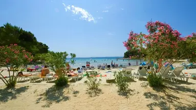 Pine Beach Pakostane