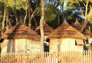 Pine Beach Pakostane