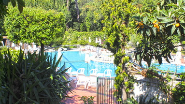 Pineta (Forio)