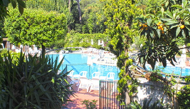 Pineta (Forio)