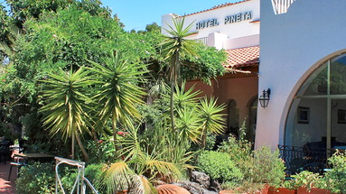Pineta (Forio)
